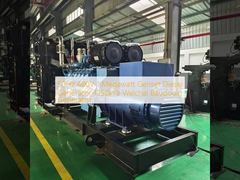 1MW dieselgenerator 1250kva stroomoplossing