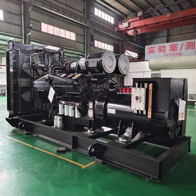 kopen 600 kW aardgasgeneratoren 750 kW biomassa-elektrische generator online manufacture