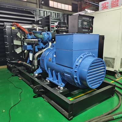 300 kW Biogasgenerator 50Hz 400V 375kva Biogasgenerator voor elektriciteit