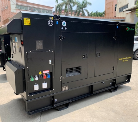EPA goedgekeurd voor de Amerikaanse en Canadese markt Diesel generator set