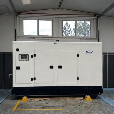30KW 40KW 50KW 60KW 100KW 200KW 300KW 400KW elektrische machines elektriciteitsgeneratoren te koop